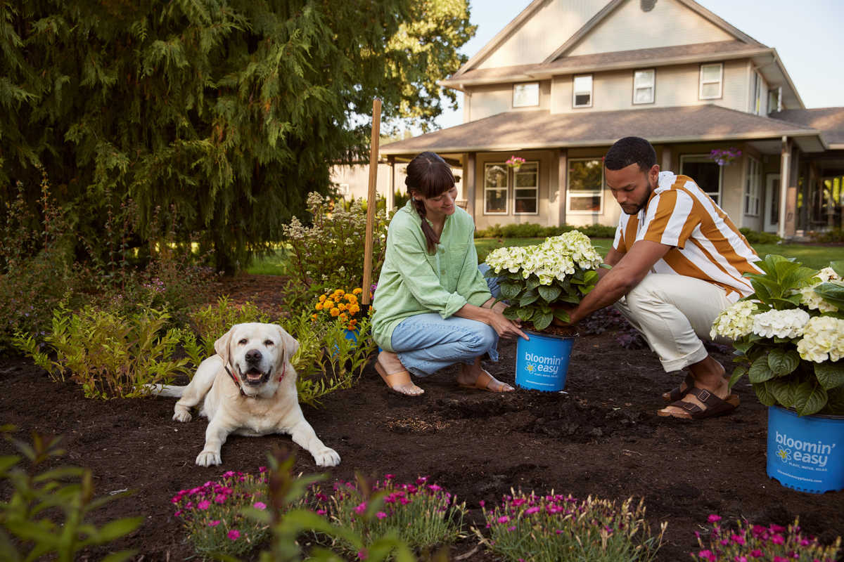 The 10 Biggest Opportunities for Garden Centers in 2026: | Brands In Blooms